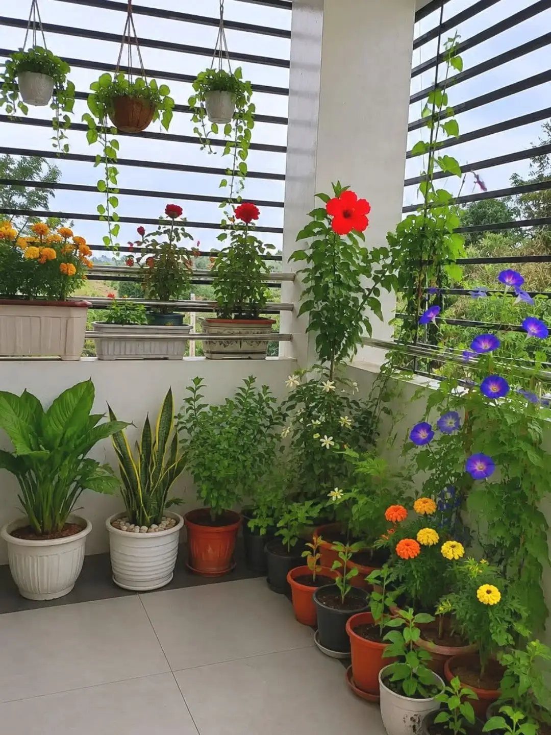 Various potted plants and hanging baskets decorate a balcony with a slatted railing and tiled floor.