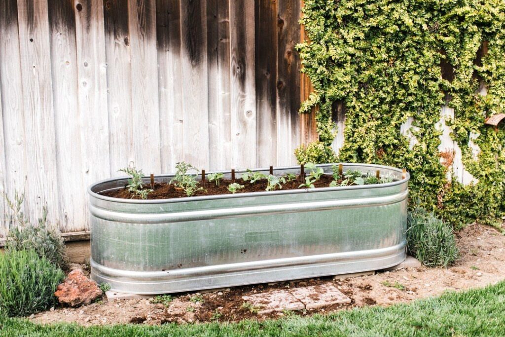 A galvanized metal oval trough filled with soil and small green plants sits against a wooden fence.